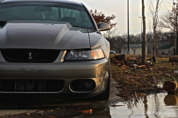 2001 Ford Mustang Cobra Terminator Swap
