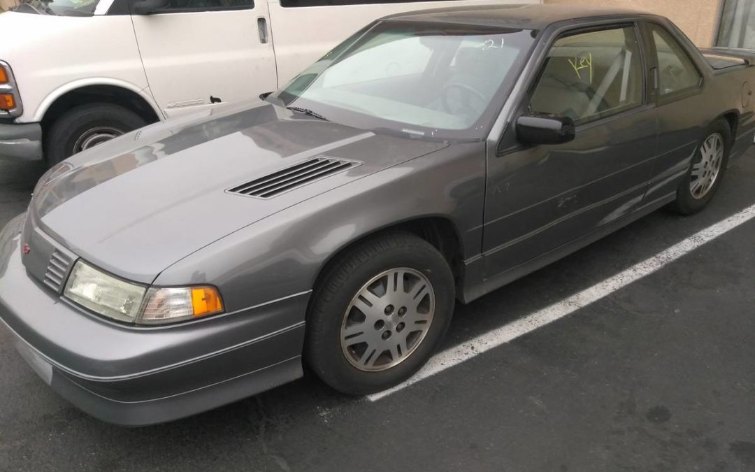 1994 Chevrolet Lumia Z34