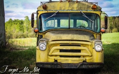 1957 International Short School Bus Project
