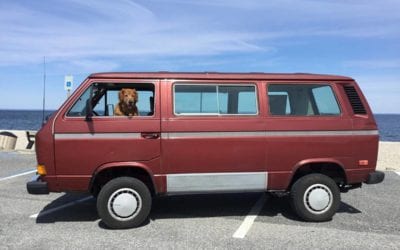 1987 Volkswagen Vanagon Synchro